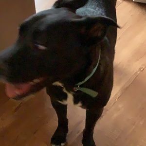 Meet your Posher, Bre